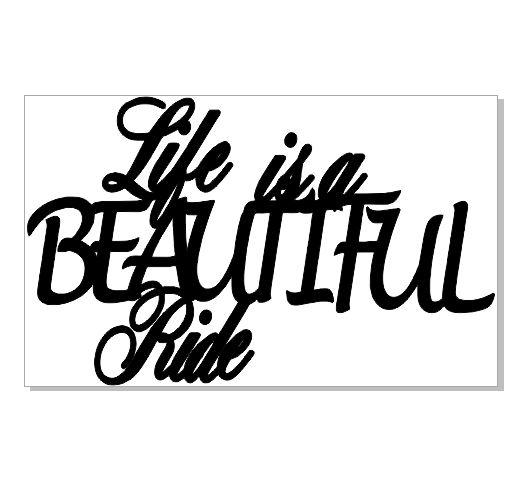 life is a beautiful ride  128 x 75  min buy 3